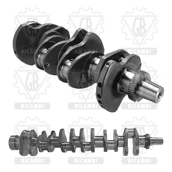 CRANSKSHAFT C/W GEAR